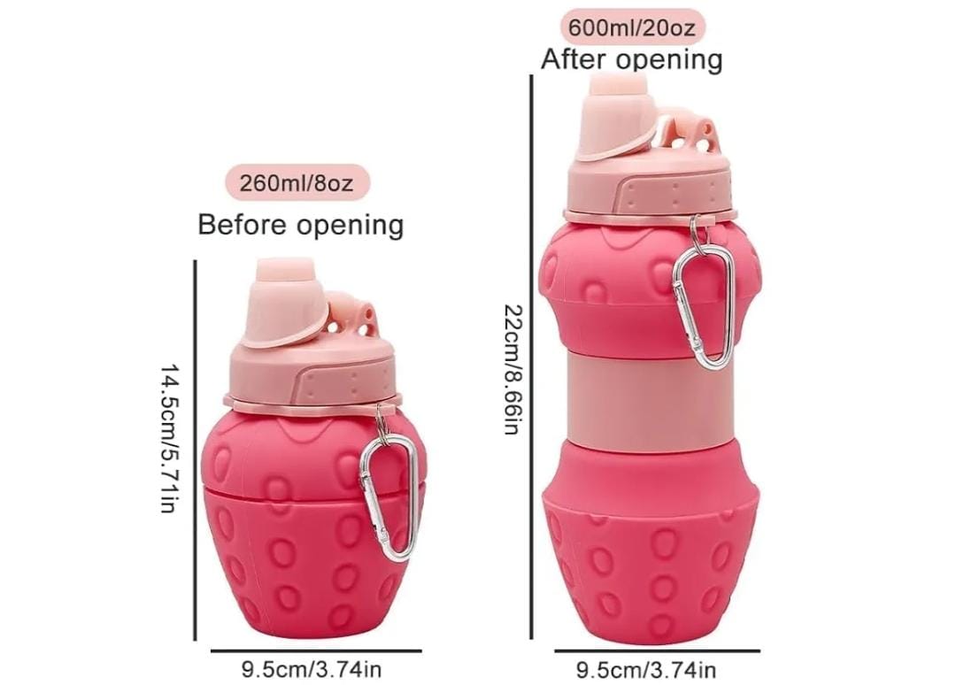Collapsible Silicone Water Bottle