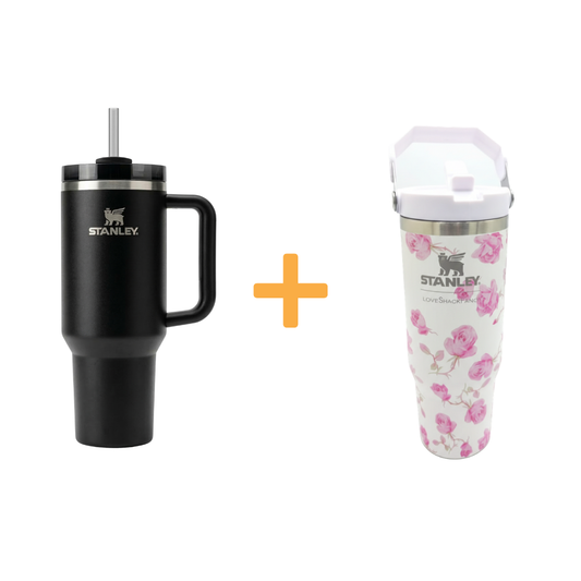 Stanley Tumbler Duo